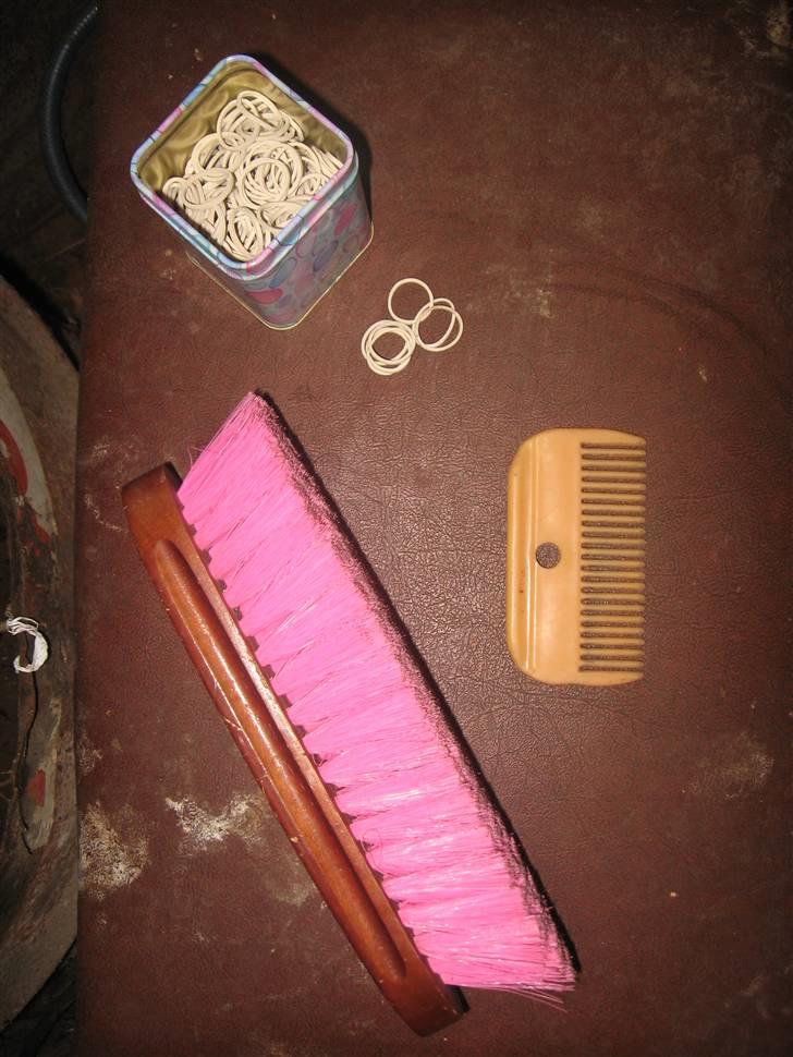 Lær at lave et net på din hest/pony ;) - Du skal bruge: elastikker, mankam, evt manbørste til at få manen pæn og skinnende;) billede 2