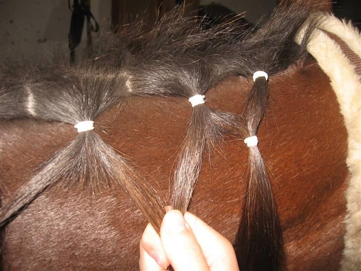 Lær at lave et net på din hest/pony ;) - Alle de andre skal deles undtagen enderne;) billede 9