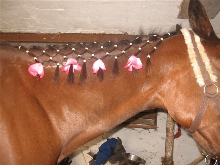 Lær at lave et net på din hest/pony ;) - Der kan også puttes pynt i enden af nettet;) billede 13