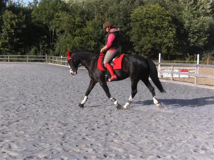 Spring&ridebilleder billede 1