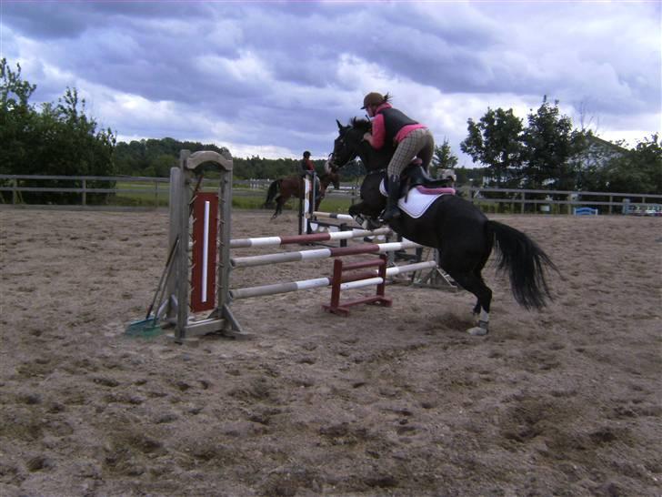 Spring&ridebilleder billede 2