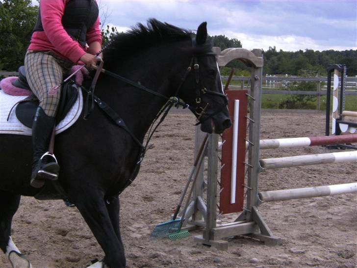 Spring&ridebilleder billede 3