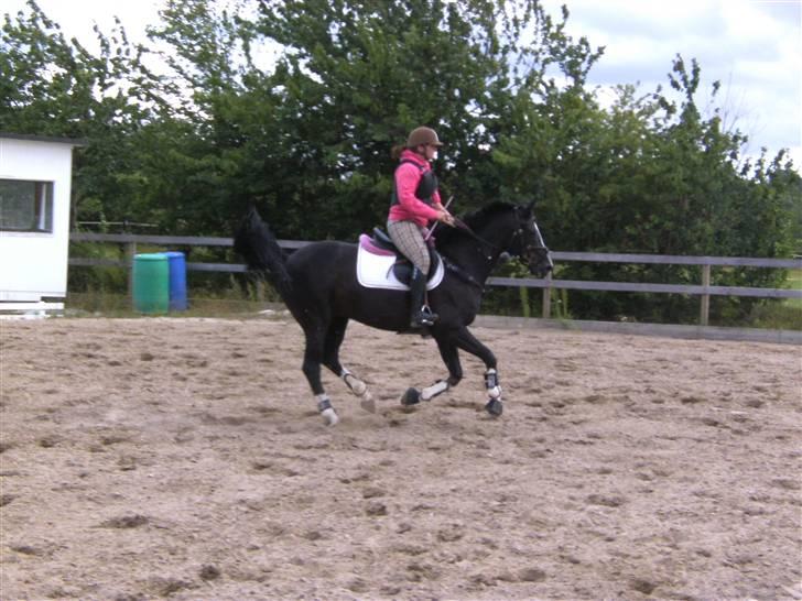 Spring&ridebilleder billede 4