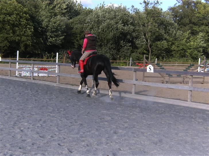 Spring&ridebilleder billede 6