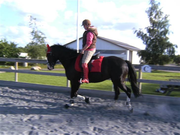 Spring&ridebilleder billede 7