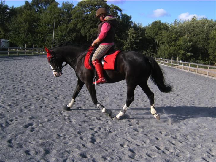 Spring&ridebilleder billede 8