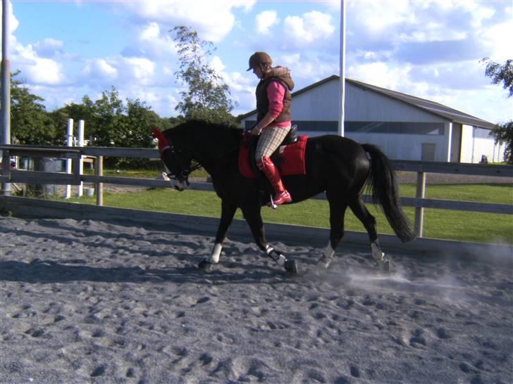 Spring&ridebilleder billede 9