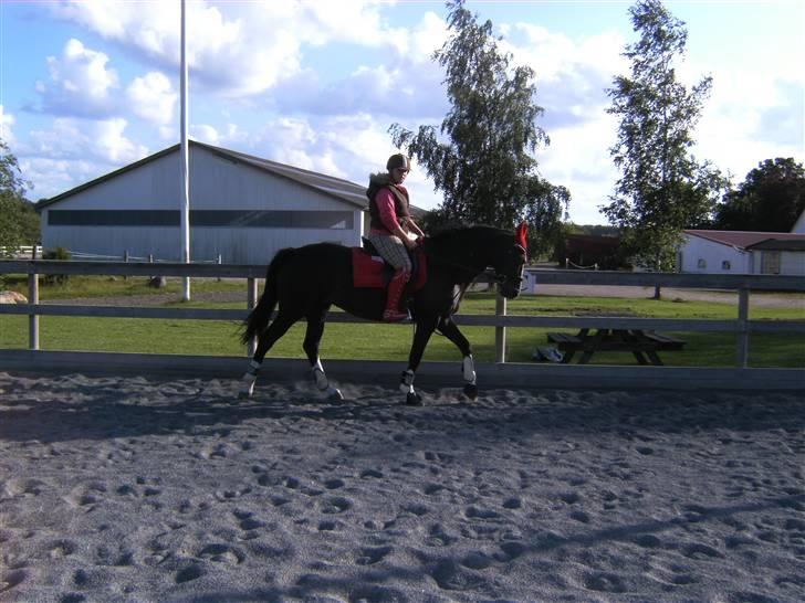 Spring&ridebilleder billede 10