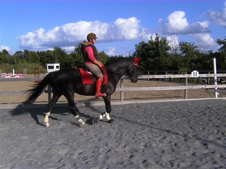 Spring&ridebilleder billede 11