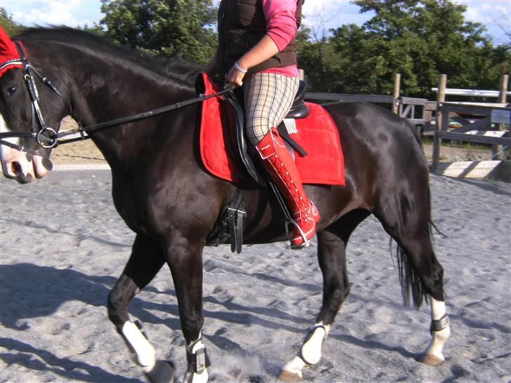 Spring&ridebilleder billede 12