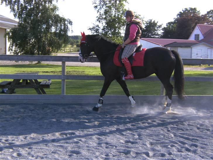 Spring&ridebilleder billede 13