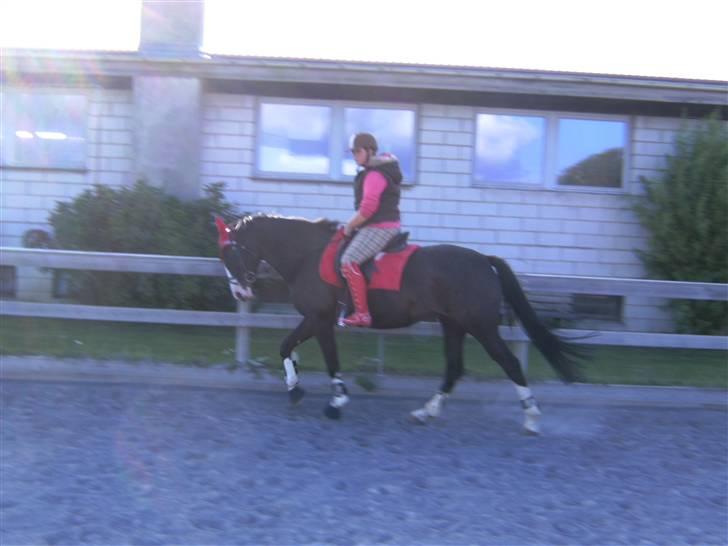 Spring&ridebilleder billede 14