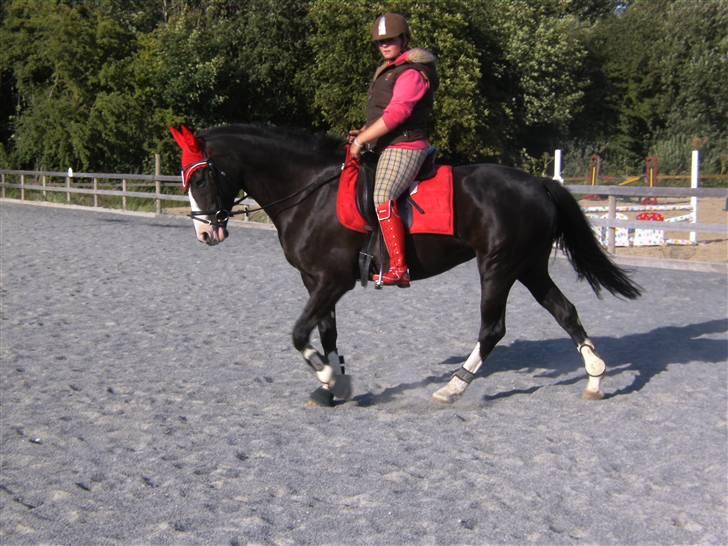 Spring&ridebilleder billede 15