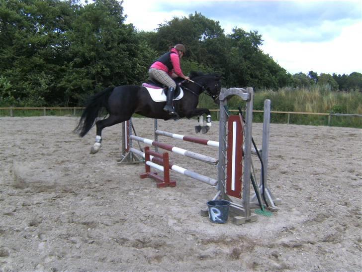 Spring&ridebilleder billede 16