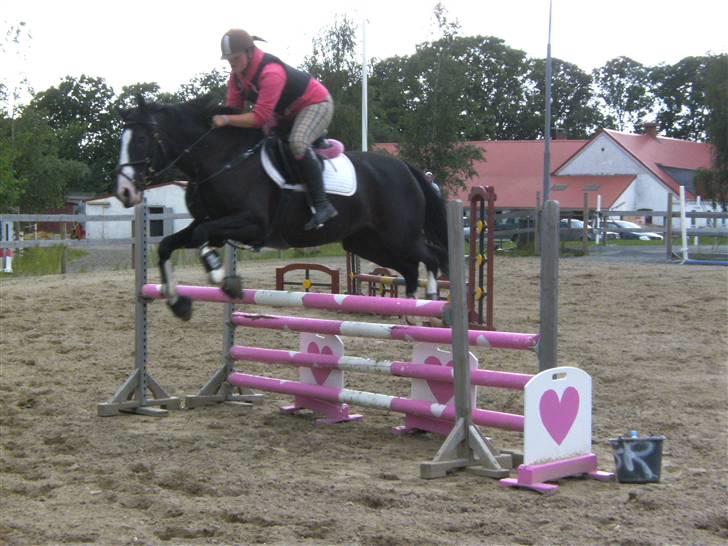 Spring&ridebilleder billede 17