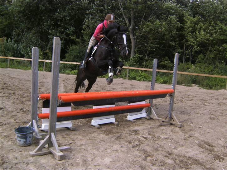 Spring&ridebilleder billede 18