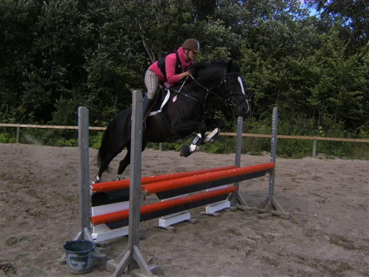 Spring&ridebilleder billede 19