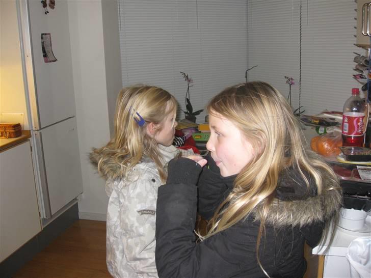 Fødselsdag i jumboland billede 1