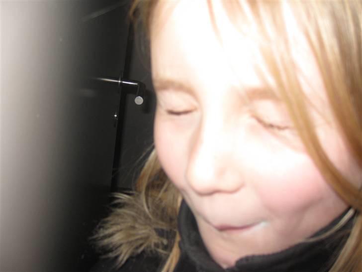 Fødselsdag i jumboland billede 2