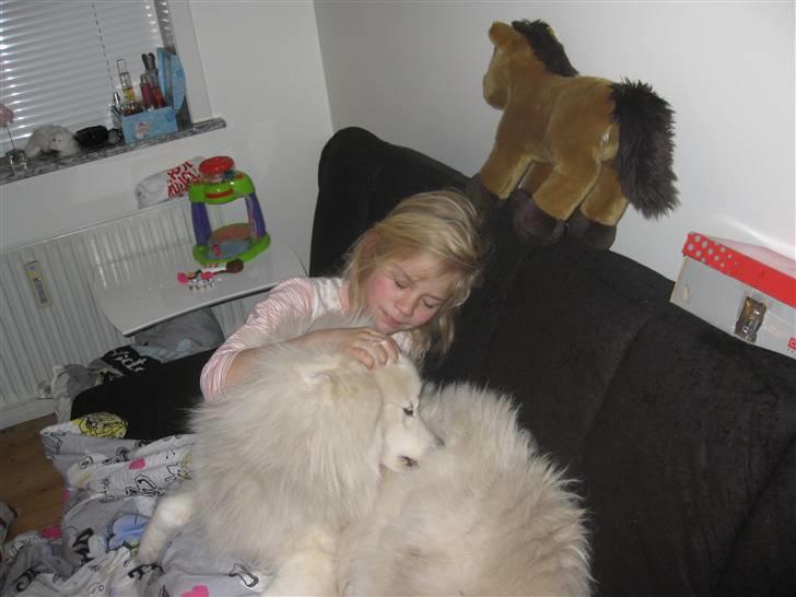 Fødselsdag i jumboland billede 78