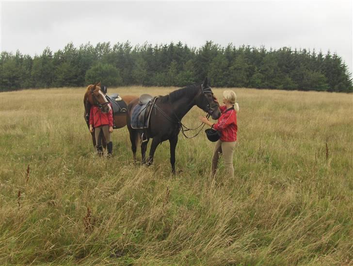 Hjerl hede jagt :) billede 1