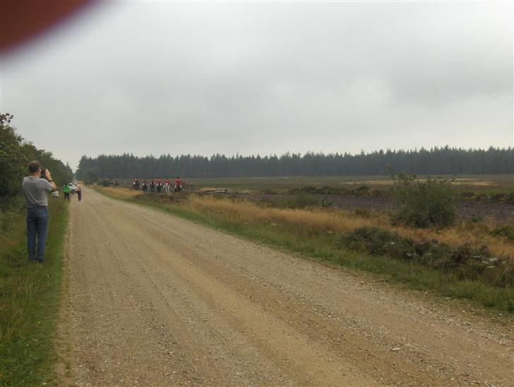 Hjerl hede jagt :) billede 3