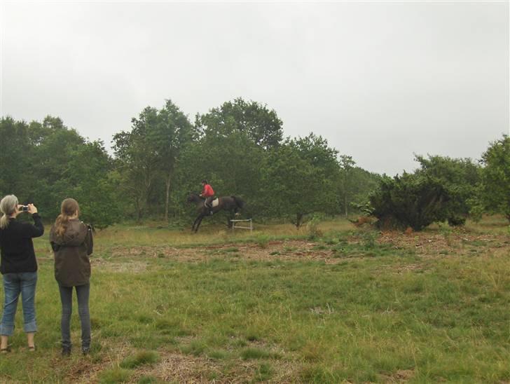 Hjerl hede jagt :) billede 4