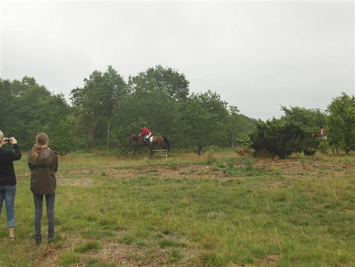 Hjerl hede jagt :) billede 5