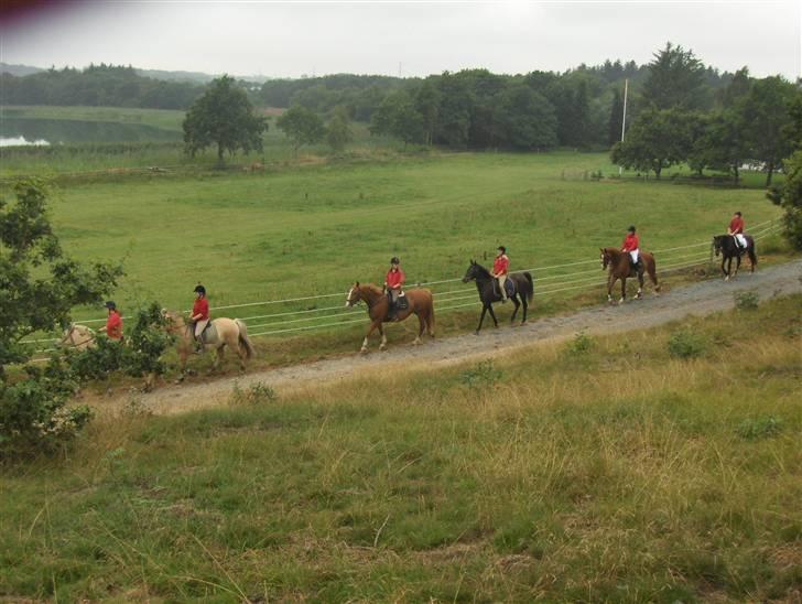 Hjerl hede jagt :) billede 6