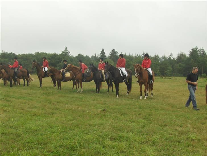 Hjerl hede jagt :) billede 7