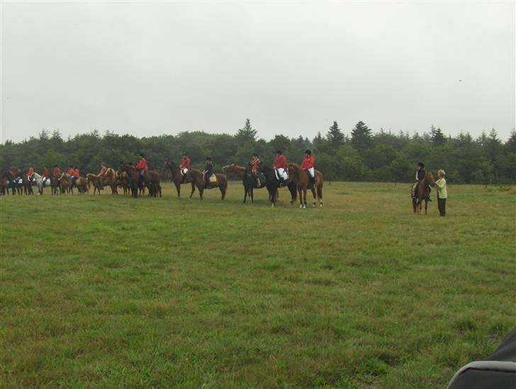 Hjerl hede jagt :) billede 9