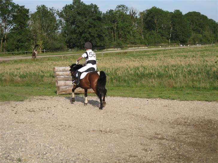 Søborggård Ridelejr Uge 32 billede 2