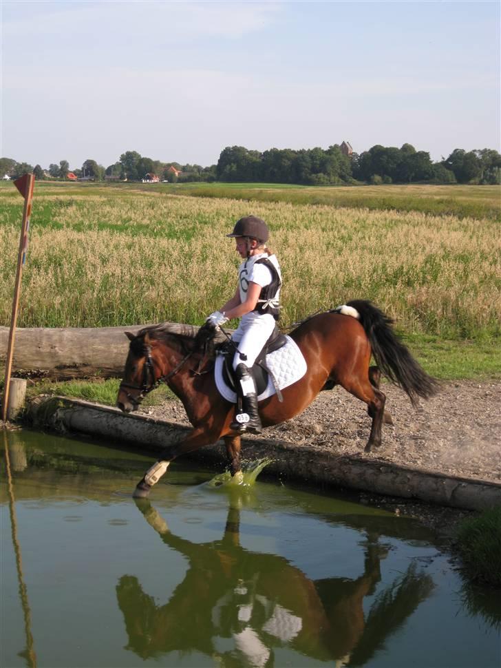 Søborggård Ridelejr Uge 32 billede 3