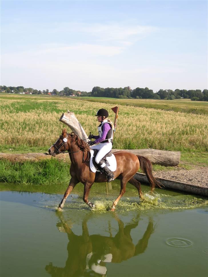 Søborggård Ridelejr Uge 32 billede 5