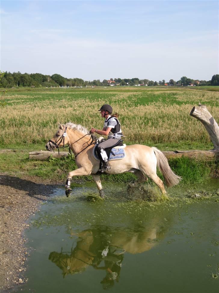 Søborggård Ridelejr Uge 32 billede 6