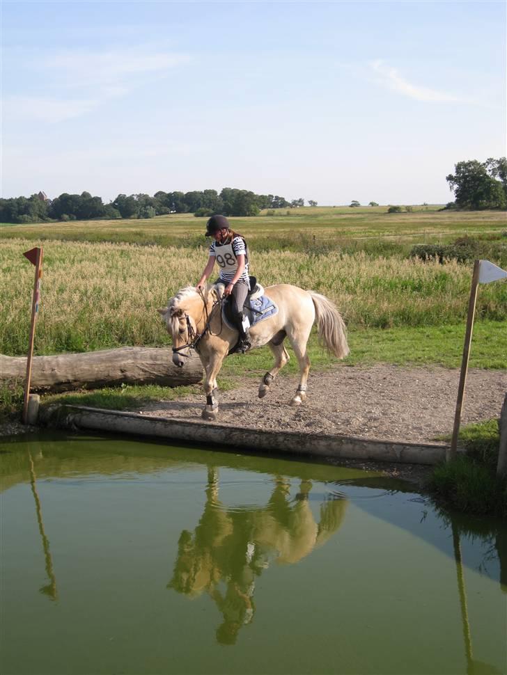 Søborggård Ridelejr Uge 32 billede 7
