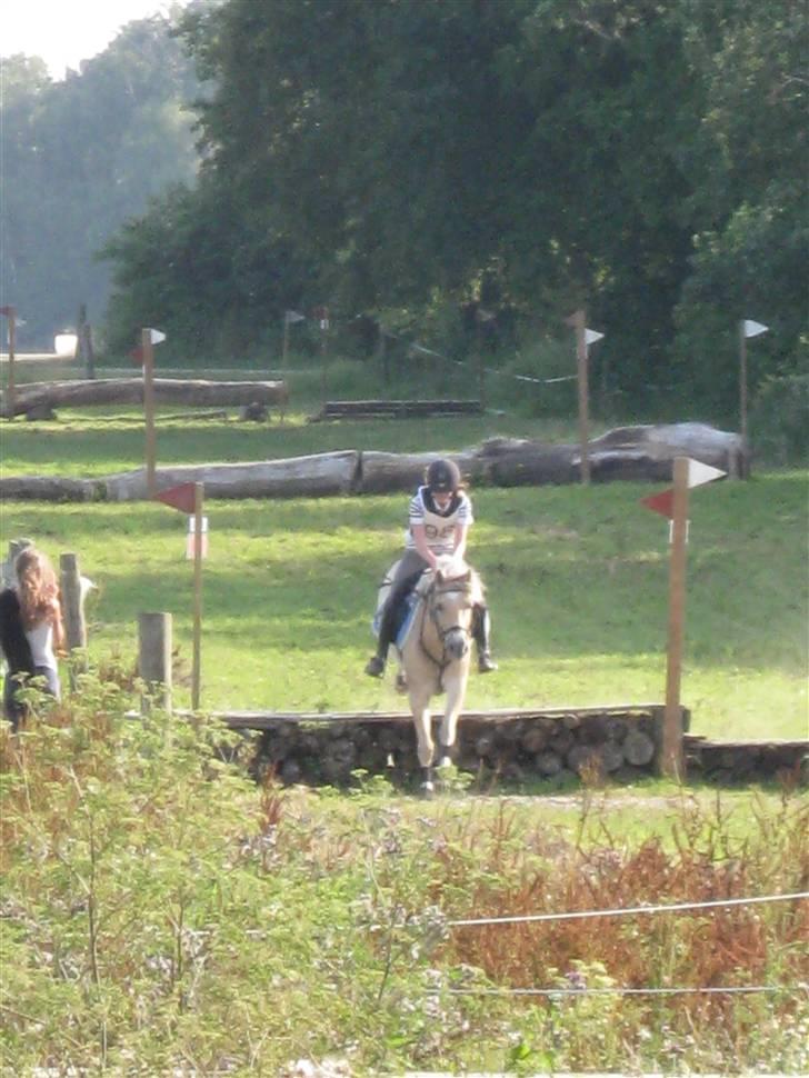 Søborggård Ridelejr Uge 32 billede 8