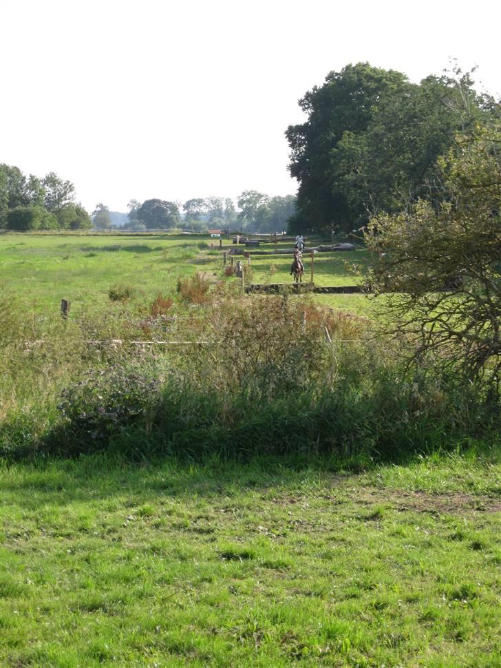 Søborggård Ridelejr Uge 32 billede 9