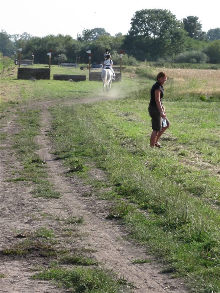 Søborggård Ridelejr Uge 32 billede 10