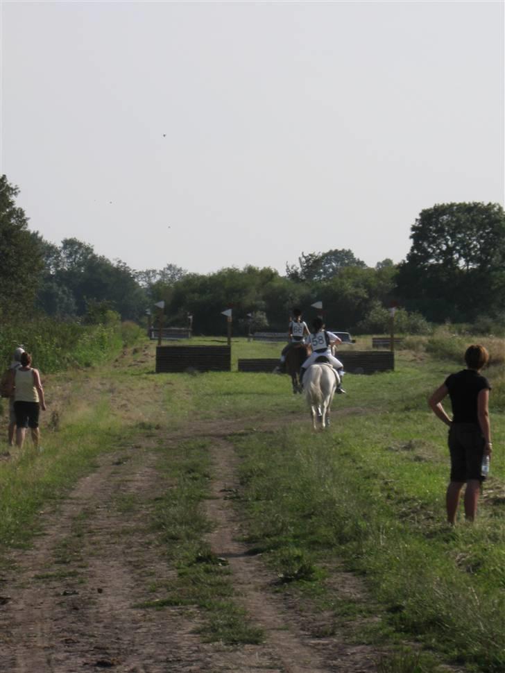 Søborggård Ridelejr Uge 32 billede 11