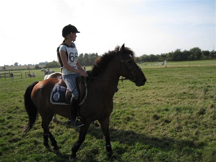 Søborggård Ridelejr Uge 32 billede 13