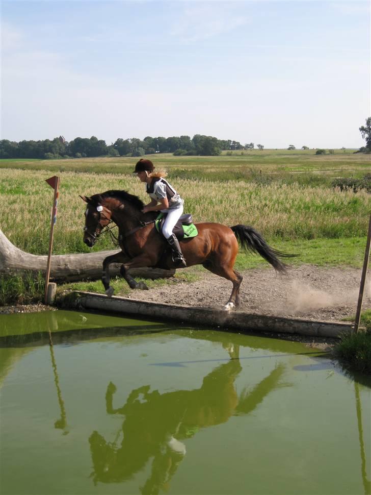 Søborggård Ridelejr Uge 32 billede 14