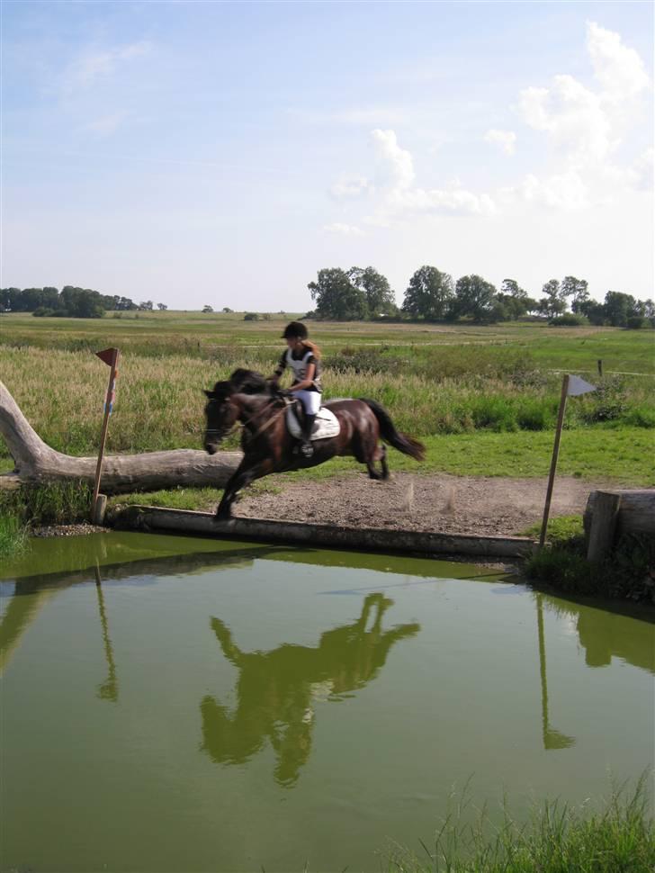 Søborggård Ridelejr Uge 32 billede 15