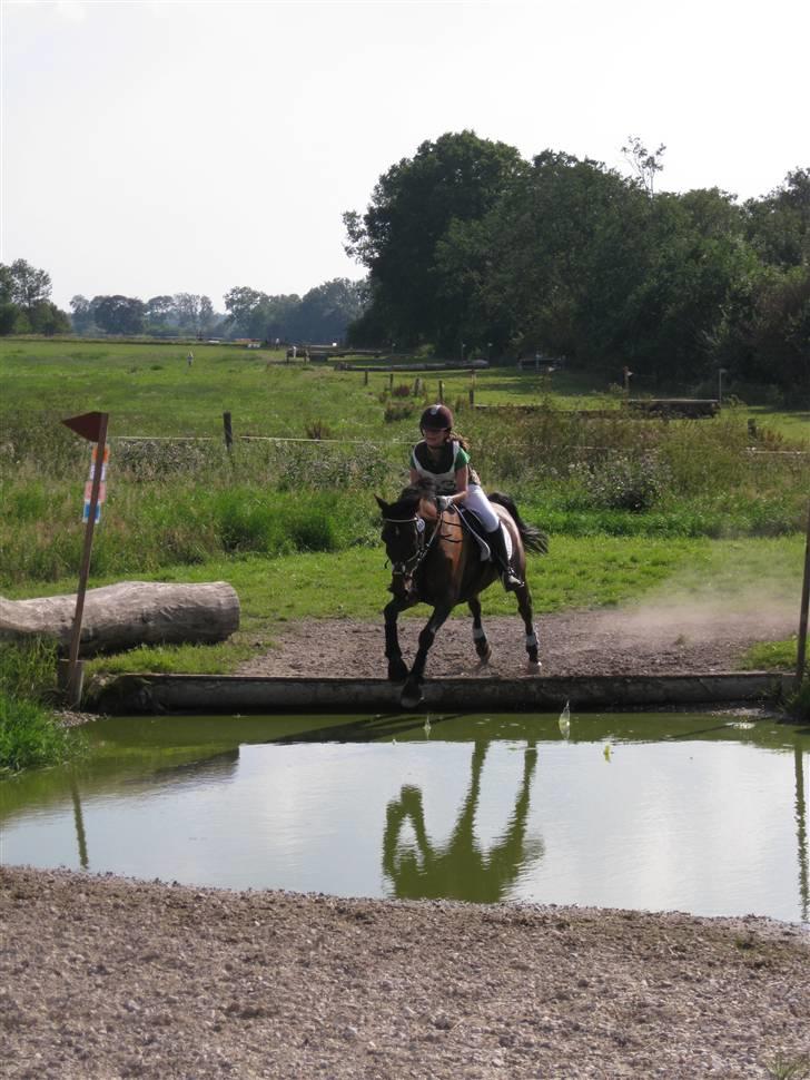 Søborggård Ridelejr Uge 32 billede 16