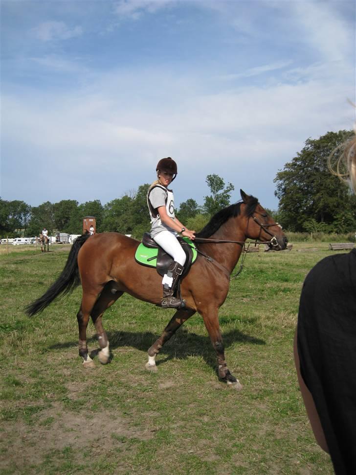 Søborggård Ridelejr Uge 32 billede 18