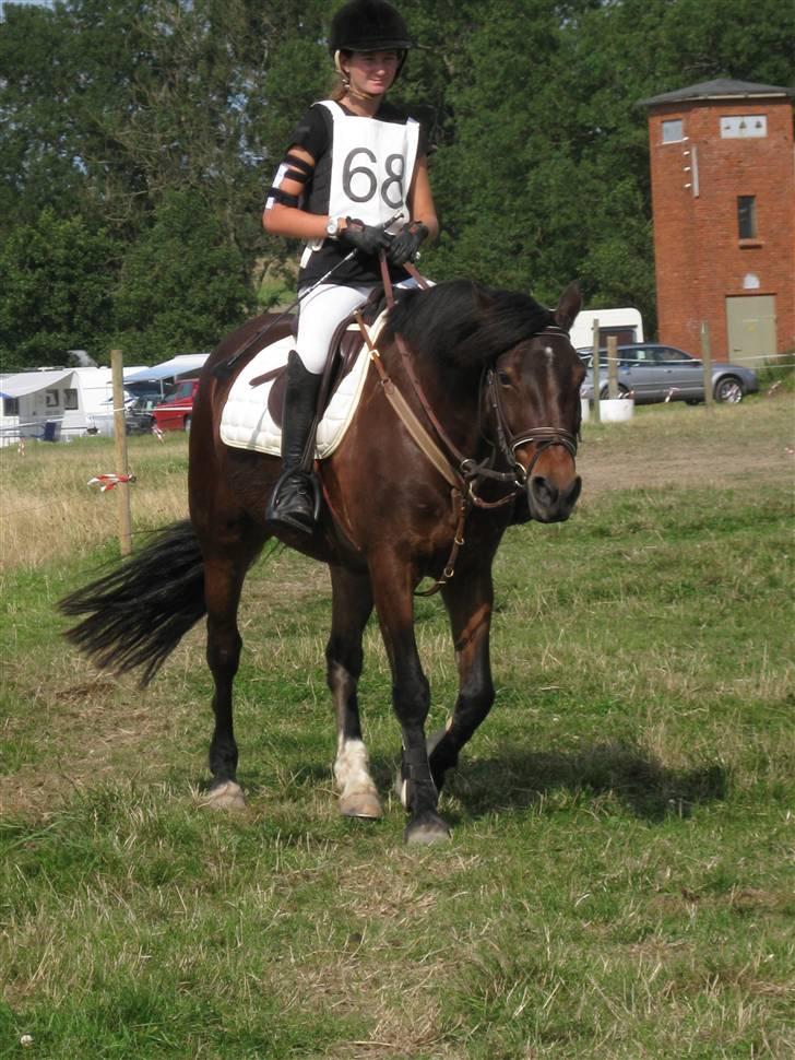 Søborggård Ridelejr Uge 32 billede 19