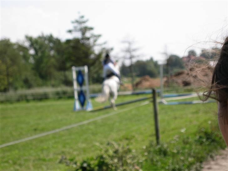 Søborggård Ridelejr Uge 32 billede 20