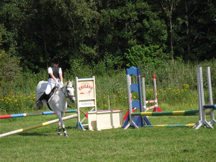 Søborggård Ridelejr Uge 32 billede 21