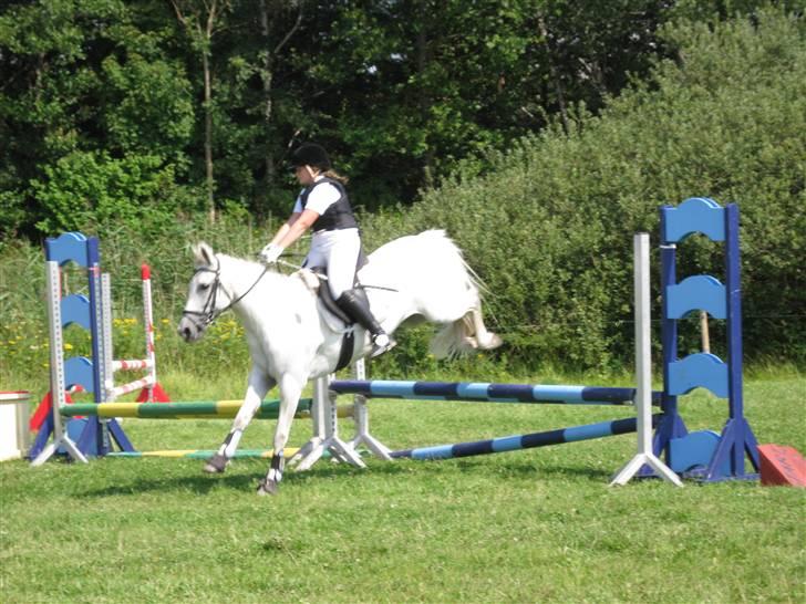 Søborggård Ridelejr Uge 32 billede 22