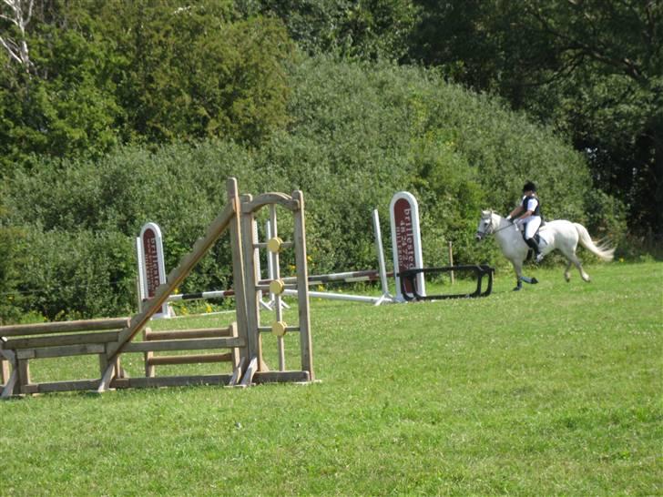 Søborggård Ridelejr Uge 32 billede 23